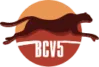 BCV5 logo