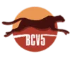 BCV5 Logo
