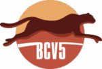 BCV5 Logo