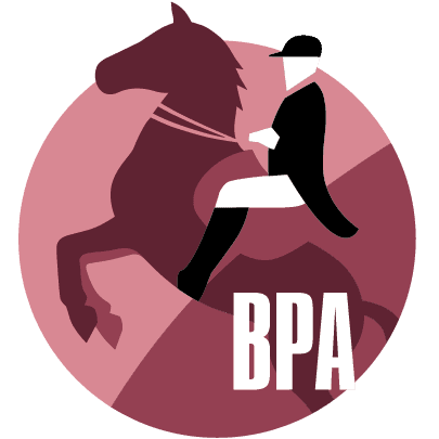 BPA4Db2 Logo