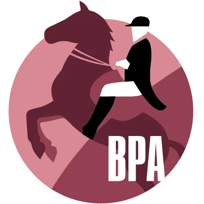 BPA4Db2 Logo